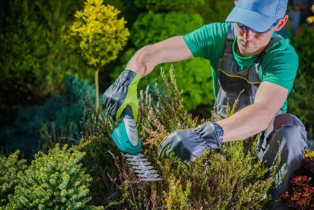 landscaping services Chums Corner